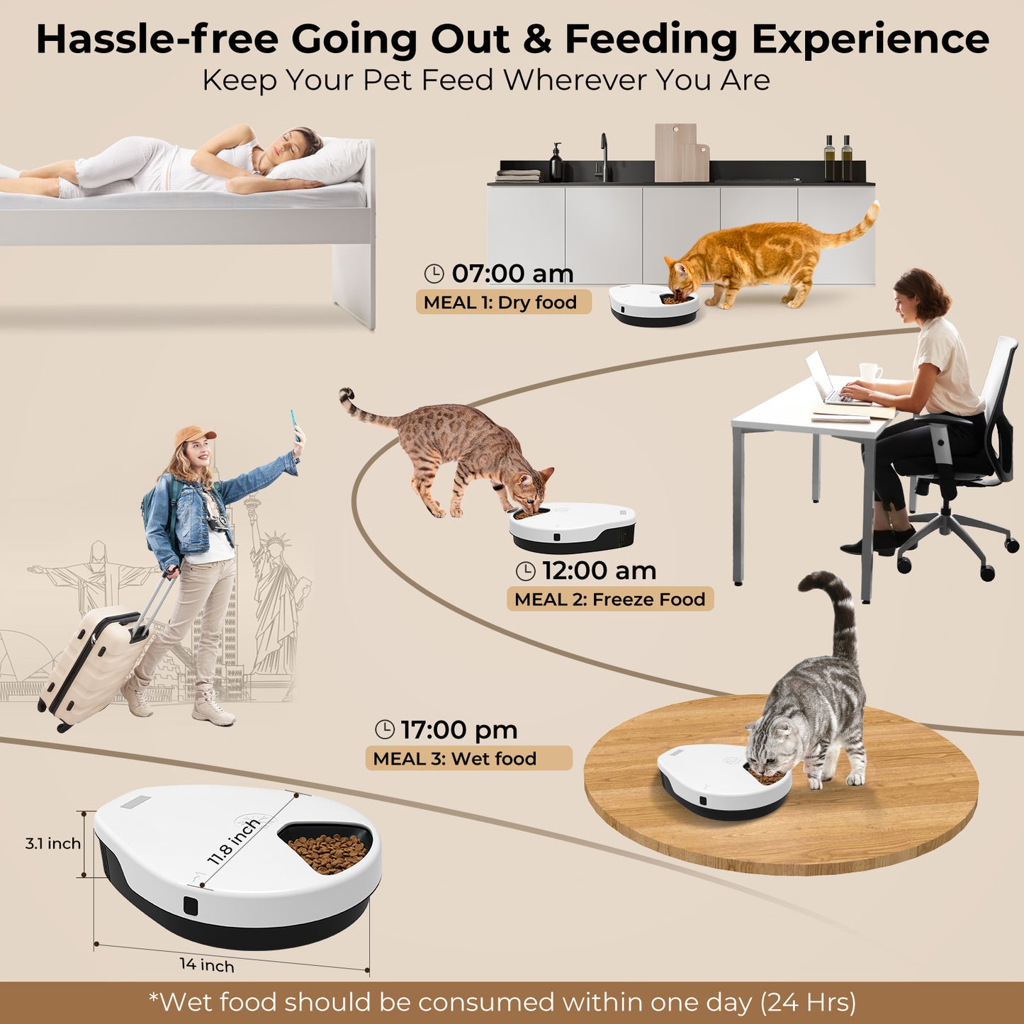 Automatic Cat Feeder