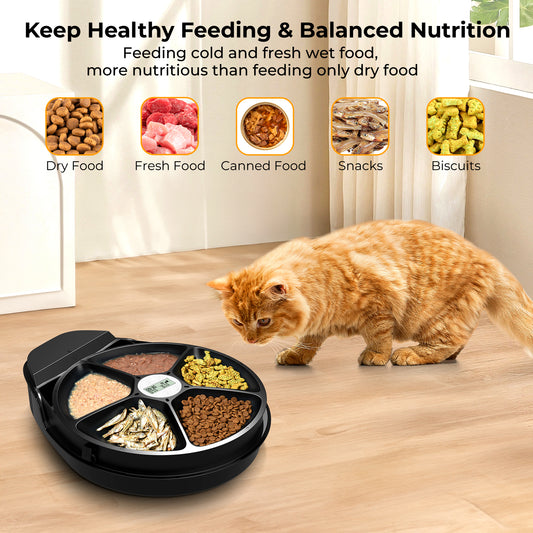 Automatic Cat Feeder